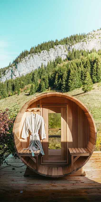 Poele Electrique Traditionnel Sauna Familial Poele Electrique Traditionnel Sauna Familial
