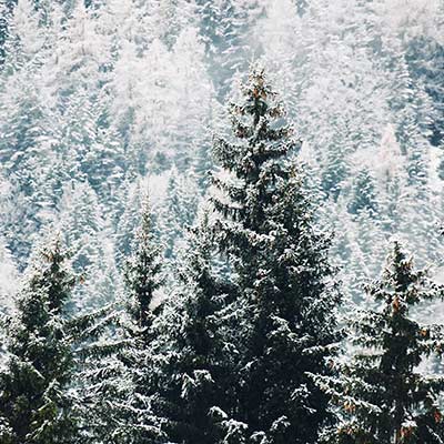 Sauna Hiver Sante Immunitaire